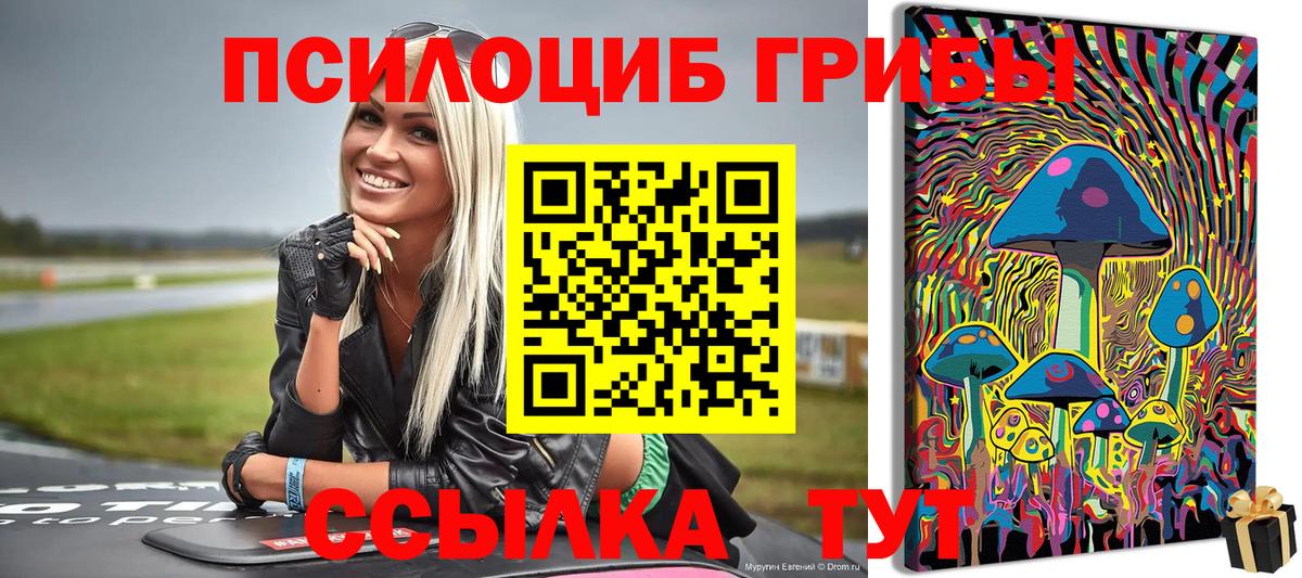 Псилоцибиновые грибы MAGIC MUSHROOMS Железноводск