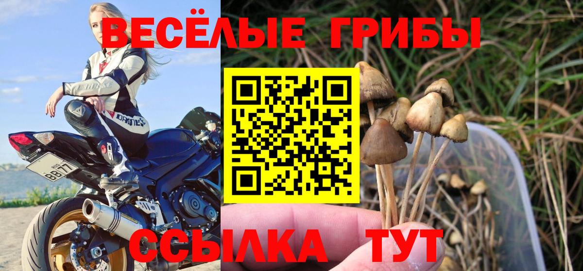 где найти наркотики  Вход с VPN  Железноводск  Галлюциногенные грибы мицелий 